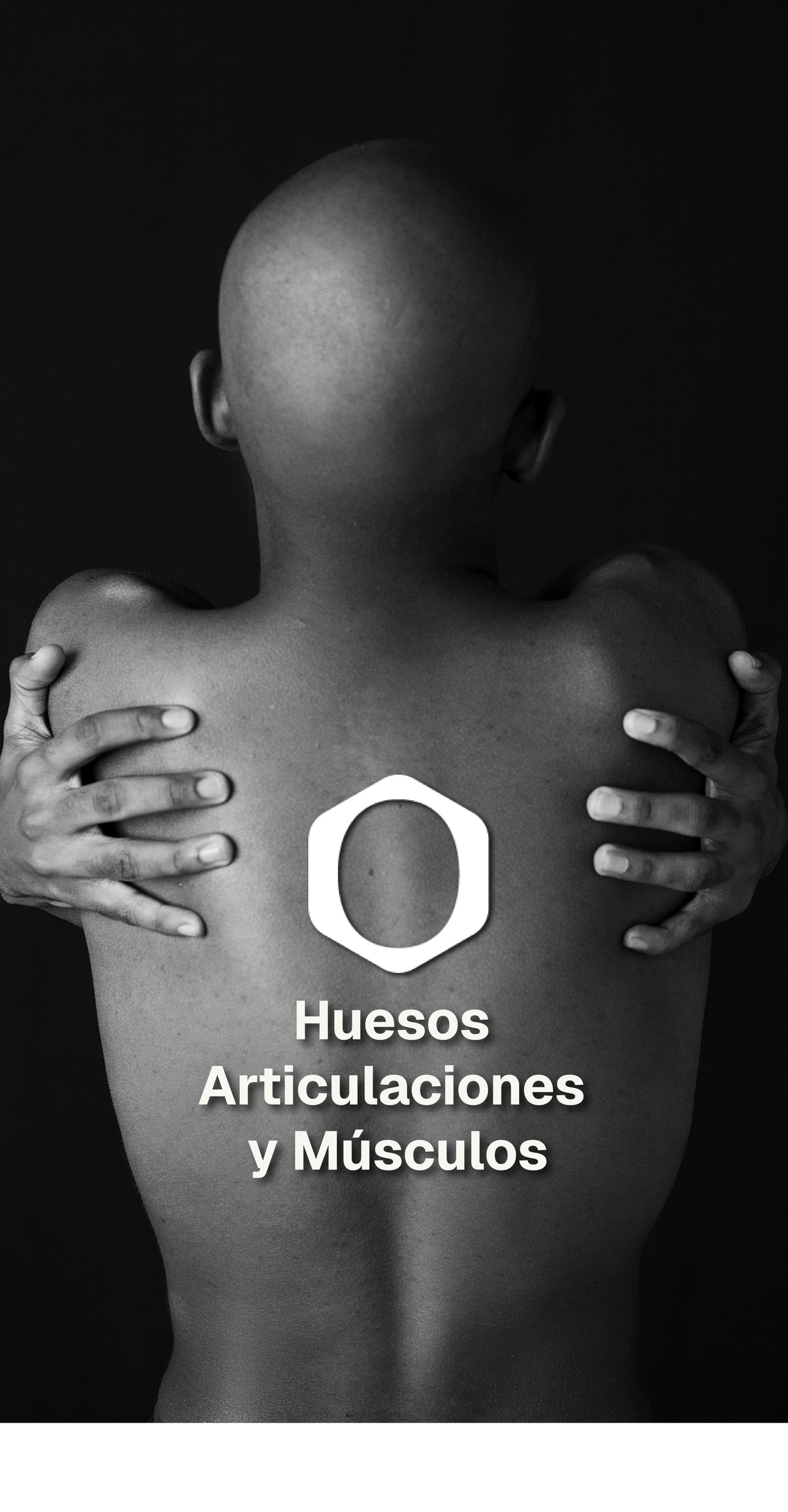 Huesos Articulaciones y Músculos
